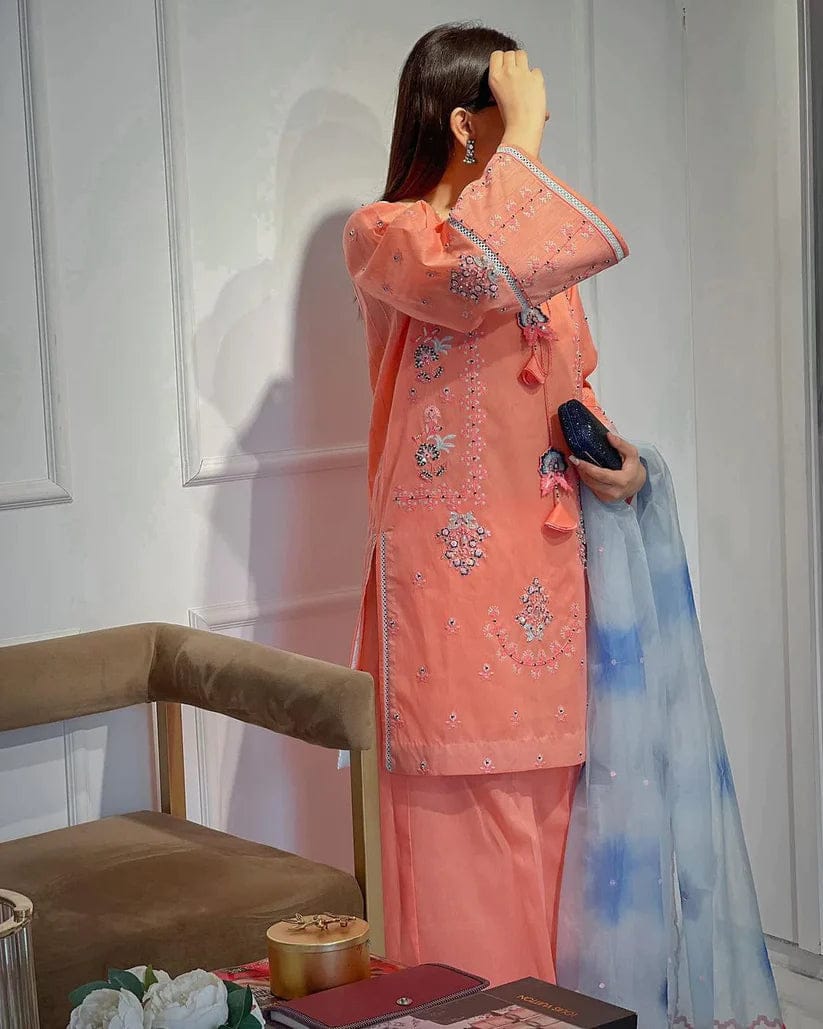 RANG RASIYA LAWN 3PC SUIT-BG241